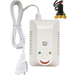 गैस रिसाव डिटेक्टर