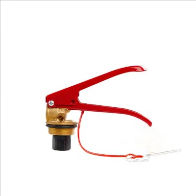 6 किलो सूखा रासायनिक पाउडर अग्निशामक वेवल