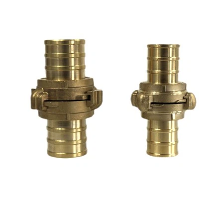 गॉस्ट कपलिंग